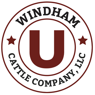 Windham Cattle Company, LLC